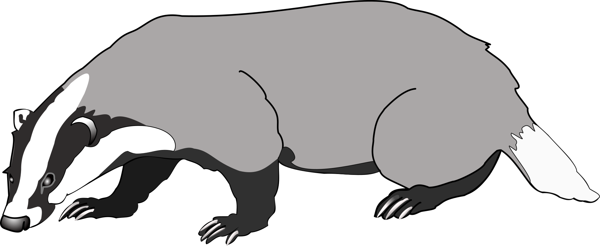 Badgers mascot